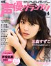 Seiyu Grand prix 2017 April w/Bonus Item (Hobby Magazine)