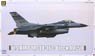 USAF F-16C ファイティングファルコン ブロック40/50 (プラモデル)