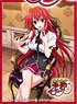 Chara Sleeve Collection Deluxe [High School DxD BorN] (No.DX014) (Card Sleeve)