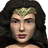 Wonder Woman/ Wonder Woman Body Knocker (Completed)