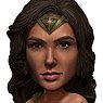 Wonder Woman/ Wonder Woman Head Knocker (Completed)
