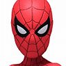 Spider-Man: Homecoming/ Spider-Man Head Knocker (Completed)