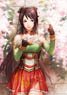 Dynasty Warriors 8 Hero Clear File Guan Yinping (Anime Toy)