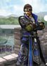 Dynasty Warriors 8 Hero Clear File Xiahou Dun (Anime Toy)