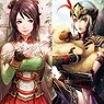 Dynasty Warriors 8 Hero Clear File B Set (Anime Toy)