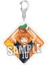 Haikyu!! Acrylic Key Ring [Shoyo Hinata] (Anime Toy)