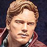 ARTFX Star-Lord with Groot (Completed)