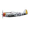 P-47D サンダーボルト `ロージー・ゲス2` (完成品飛行機)