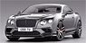 Bentley Continental Super Sports Magnetic (Silver) (Diecast Car)