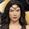 Batman v Superman: Dawn of Justice/ Wonder Woman 5.5 Inch Bendable Figure (Completed)