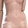 Super Flexible Female Base Model Plastic Joint Suntan Small Bust (Fashion Doll)