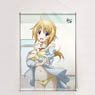 IS (Infinite Stratos) Draw for a Specific Purpose B2 Tapestry (Charlotte/Bathroom) (Anime Toy)