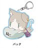 Re: Life in a Different World from Zero Gorohamu Acrylic Key Ring Pack (Anime Toy)