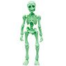 Pose Skeleton Human (01) Cream Soda (Anime Toy)