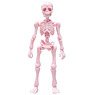 Pose Skeleton Human (01) Strawberry Milk (Anime Toy)