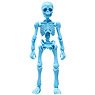 Pose Skeleton Human (01) Blue Hawaii (Anime Toy)