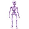 Pose Skeleton Human (01) Blueberry Yogurt (Anime Toy)