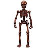 Pose Skeleton Human (03) Big Human Wood (Anime Toy)