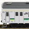 鉄道コレクション JR 205系 南武支線 小田栄駅開業仕様 (2両セット) (鉄道模型)
