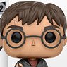 POP! - Movie Series: Harry Potter - Harry Potter (With Prophecy Version) (Completed)