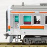 Series 213-5000 Iida Line (2-Car Set) (Model Train)