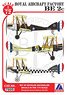 RAF BE2c用デカール (デカール)