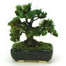 THE BONSAI 1/12 Pine w/Square pod (Black)