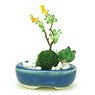 THE BONSAI 1/12 小判寄せ植え【紺】 (ドール)