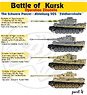Pz.Kpfw.VI Tiger I Battle of Kursk Part4 (Plastic model)