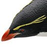 #1-004 Southern Rockhopper Penguin (Completed)