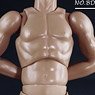 1/6 Male Base Model Standard Muscle Arm Tall (Fashion Doll)