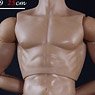 1/6 Male Base Model Muscle (Fashion Doll)