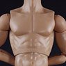 1/6 Male Base Model Muscle Tall (Fashion Doll)