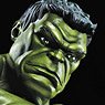 Marvel - Hasbro Action Figure: 12inch / Legends - #07 Hulk (Completed)