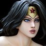 Fantasy Figure Gallery/ DC Comics Collection: Wonder Woman New Earth 1/6 PVC (Completed)