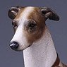 Mr.Z 1/6 Greyhound 003 (Fashion Doll)