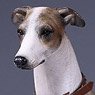 Mr.Z 1/6 Greyhound 005 (Fashion Doll)