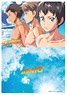 TV Animation [Dive!!] Clear File [A] (Anime Toy)