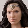 S.H.Figuarts Wonder Woman (Justice League) (Completed)