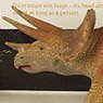 英国自然史博物館 トリケラトプス (18cm) (完成品)