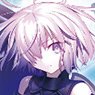 リセ オーバーチュア Ver. Fate/Grand Order 2.0 スターターデッキ (トレーディングカード)