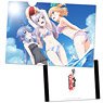 Akashic Records of Bastard Magic Instructor Clear File D (Anime Toy)