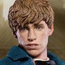 Star Ace Toys My Favorite Movie Series Fantastic Beasts and Where to Find Them 1/6 Newt Scamander Collectible Action Figure (Completed)