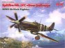 Spitfire Mk.IXC `Beer Delivery` WWII British Fighter (Plastic model)
