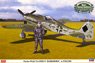 Focke Wulf Fw190D-9 `Barkhorn` w/Figure (Plastic model)