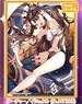 Chara Sleeve Collection Mat Series Fate/Grand Order Archer/Ishtar (Illustration: Koyafu) (N0.MT393) (Card Sleeve)