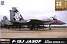 F-15J 航空自衛隊 戦技競技会 2013 エッチングパーツ付き (プラモデル)