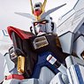Metal Robot Spirits < Side MS > Strike Freedom Gundam (Completed)