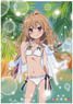 Toradora! Clear Poster Taiga B (Anime Toy)