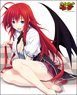 Axia Canvas Art Series No.007 High School DxD [Rias Gremory] Original Ver. (Anime Toy)